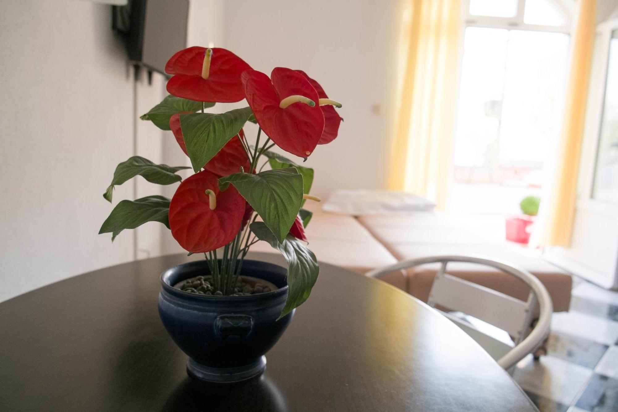 Apartments Damjanovic Макарска Стая снимка
